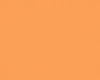 купить A.S.Creation Meistervlies 5 3095-87