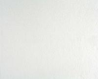 купить A.S.Creation Meistervlies Pro 2 167613