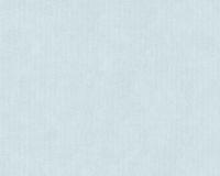 купить A.S.Creation Memory 2 124739