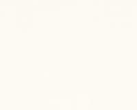 купить A.S.Creation Esprit 8 304810