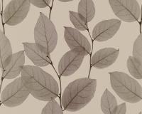 купить A.S.Creation X-Ray 34247-5