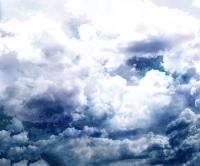 купить A.S.Creation Free Nature DD107480