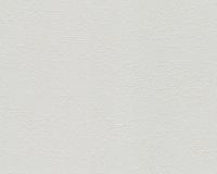 купить A.S.Creation Maistervlies 2020 10351-2