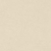 купить Rasch Fiducia 424249