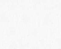 купить A.S.Creation Little Stars 35566-2