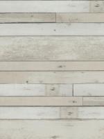 купить BN International More Than Elements 49773