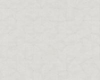 купить A.S.Creation Four Season 35895-5