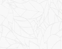 купить A.S.Creation NAF NAF 952251