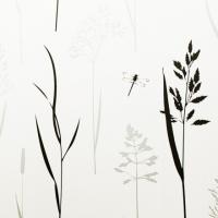 купить Sandudd June 1766