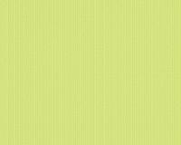 купить A.S.Creation Hula Hoop 957963