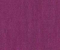 купить Rasch Intuicion 2011 733396