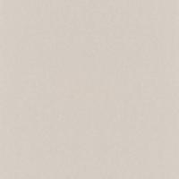 купить Rasch Emilia 501131