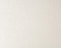 купить A.S.Creation Simply White 666413