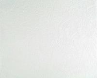 купить A.S.Creation Meistervlies Pro 2 168818