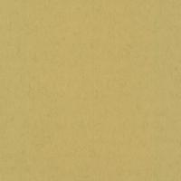 купить P+S International Orpheo 2014 13090-20