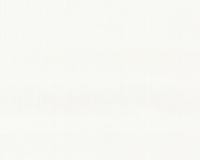 купить A.S.Creation MV Pro/Protect 563019