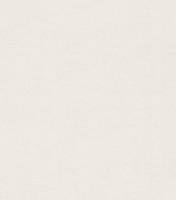 купить Rasch African Queen 2 474268