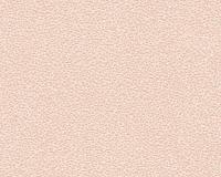 купить A.S.Creation Schoner Wohnen 10 35913-1