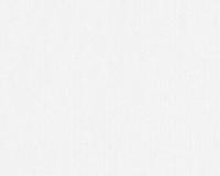 купить A.S.Creation Meistervlies 4 3058-17 / 3059-16