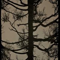 купить Sandud Vallila 4985-4