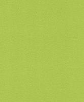 купить Rasch Prego 2014 489538