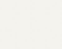 купить A.S.Creation Esprit 5 138910