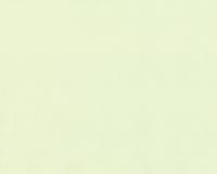 купить A.S.Creation Duetto 850058