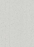 купить Erismann BasiXs 6488-31