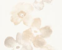 купить A.S.Creation Esprit 9 94142-4