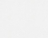 купить A.S.Creation Meistervlies 4 2458-16 / 2459-15