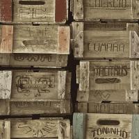 купить P+S International Times 42108-10