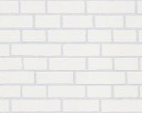 купить A.S.Creation Maistervlies 2020 24531-1