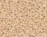 купить A.S.Creation Decora Natur 4 659514