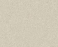 купить A.S.Creation Materials 36372-2