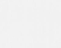 купить A.S.Creation Meistervlies 4 3066-16 / 3068-14