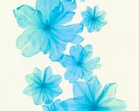 купить A.S.Creation X-Ray 34272-5