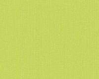 купить A.S.Creation Esprit 11 30284-2