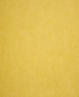 купить Casadeco Harmony 24312127_b