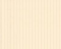 купить A.S.Creation Cirrus 232434