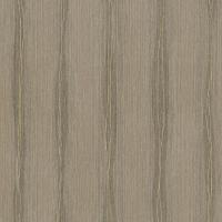 купить P+S International Sinfonia 2015 42088-20