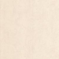 купить P+S International Brilliance 02555-22