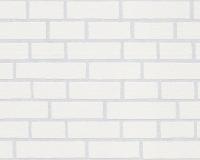 купить A.S.Creation Meistervlies 4 2453-11 / 2454-10