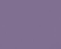 купить A.S.Creation Meistervlies 5 3091-81