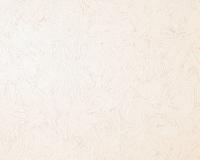 купить A.S.Creation Simply White 330345