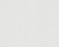 купить A.S.Creation Meistervlies 4 2604-13 / 2398-15