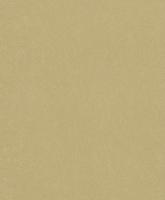 купить Rasch Belleville 441215