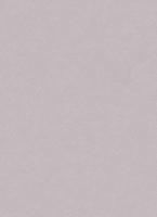 купить Erismann City Glam 5958-38