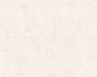 купить A.S.Creation Djooz 2 35874-1