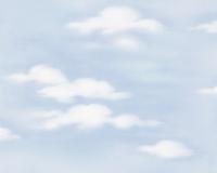 купить A.S.Creation Dekora Natur 6 7981-21