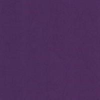 купить P+S International Intense 02258-60